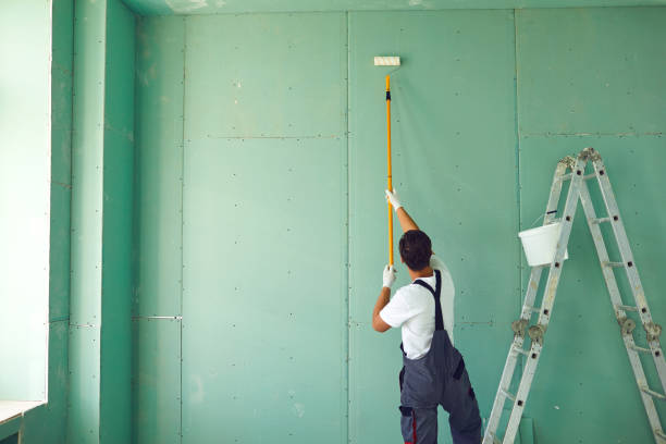 Best Emergency Mold Remediation  in Walden, TN