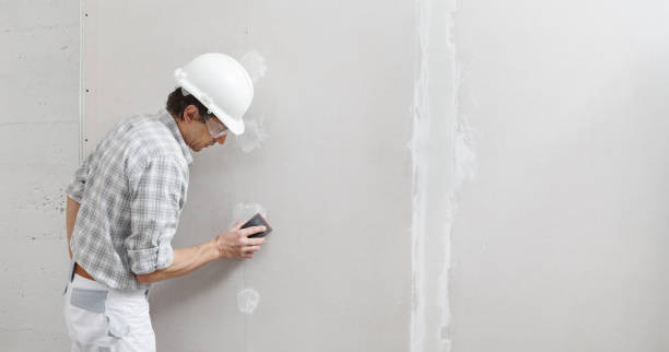 Best Mold Documentation for Insurance Claims  in Walden, TN