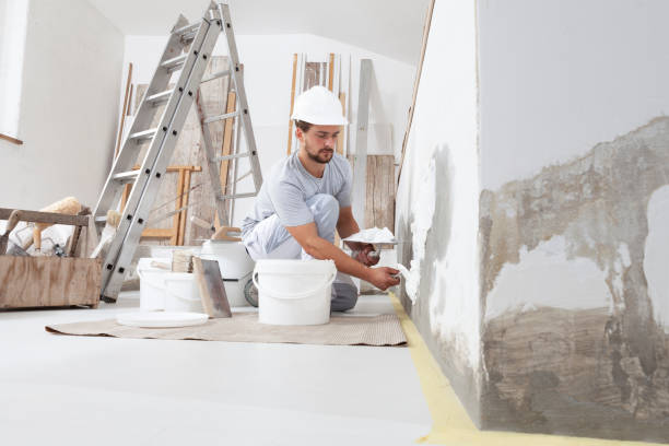 Best Dehumidification Services  in Walden, TN