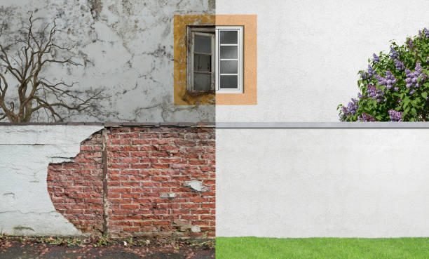  Walden, TN Mold Removal Pros