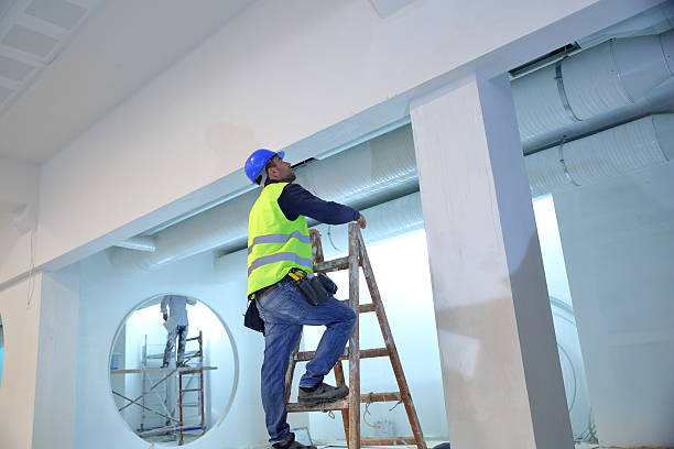Best Mold Remediation for Rental Properties  in Walden, TN